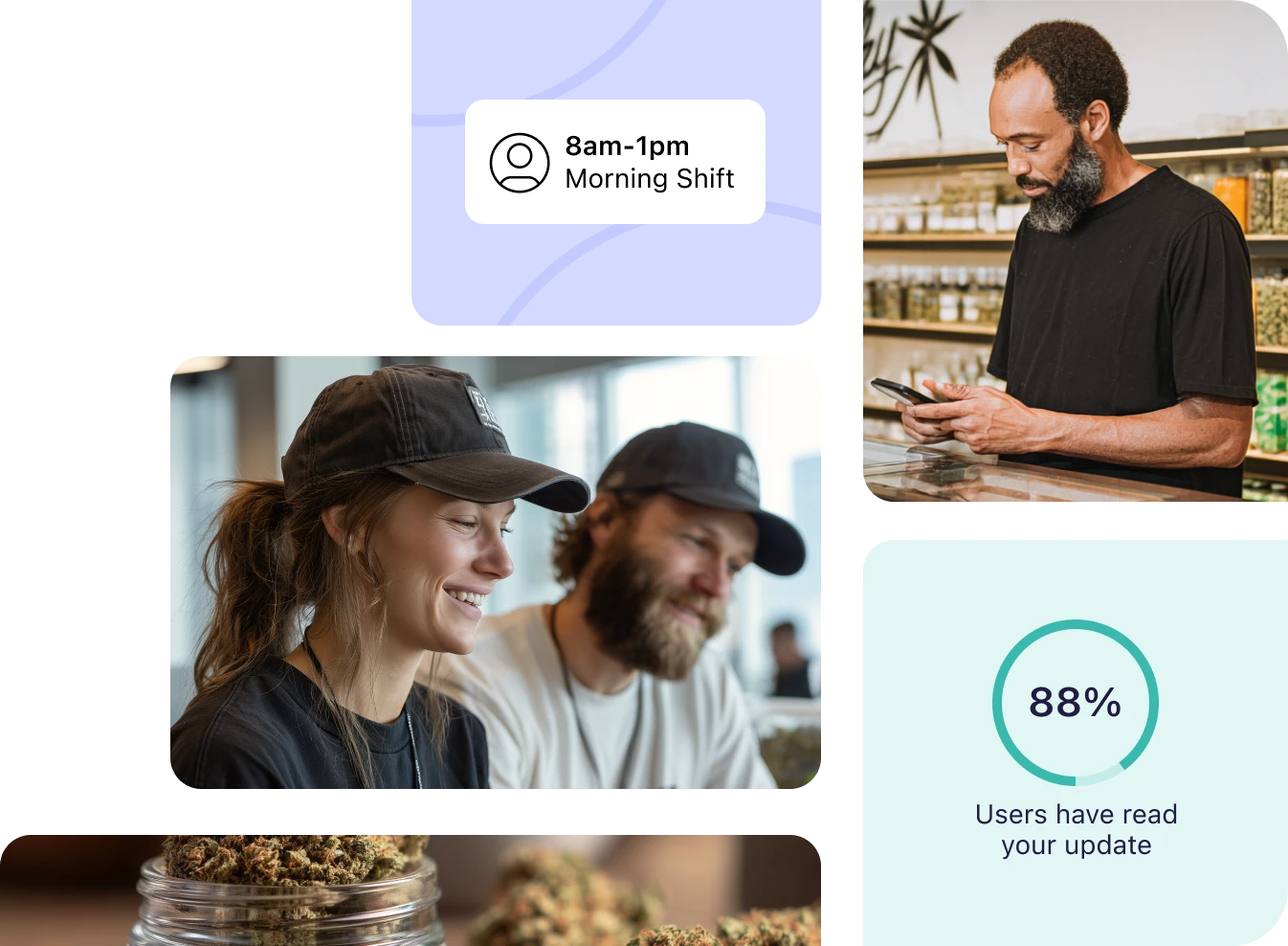 Cannabis small businesses